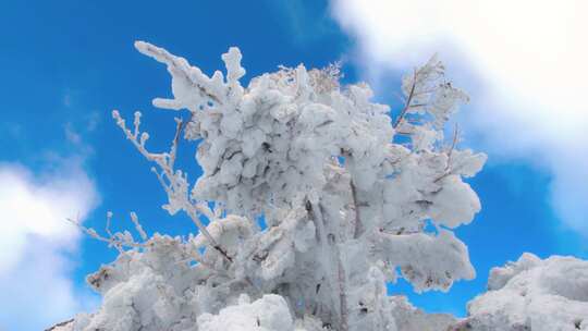 亚布力大锅盔上山顶雪挂4K