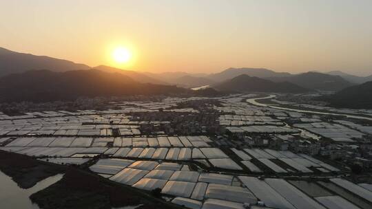 乡村振兴农业发展漳州龙海蔬菜水果养殖基地