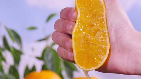 爱媛果冻橙