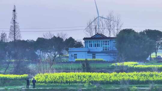 航拍乡村农村油菜花农民民房风力发电