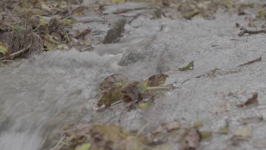 雨后清泉溪流LOG