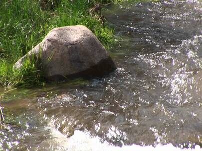 流动的溪水拍打着岸边的石头
