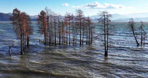 大理龙龛村龙龛码头洱海风光