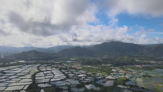 深圳河 水系 香港 交界处 水塘