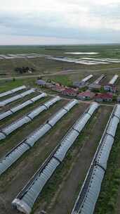 航拍大棚农业大棚竖屏培育基地大棚种植基地