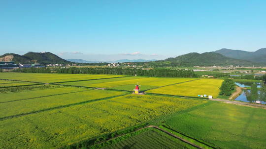 乡村振兴宣传空镜稻田村居旅游产业