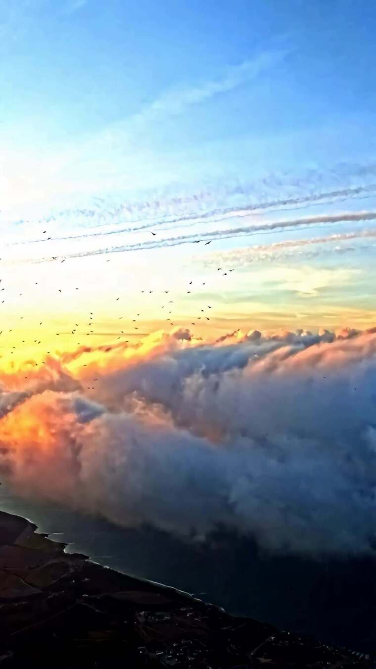 高空云海飞鸟壮丽景观
