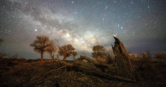 内蒙古怪树林景区星空银河
