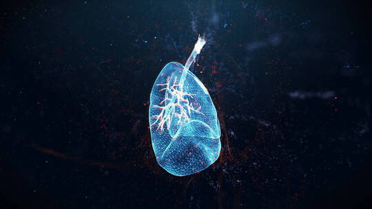 高科技医疗人体肺器官3D全息投影展示动画