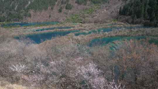 九寨沟的春天航拍素材