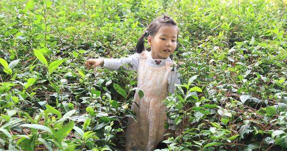 生态茶园里的可爱小女孩