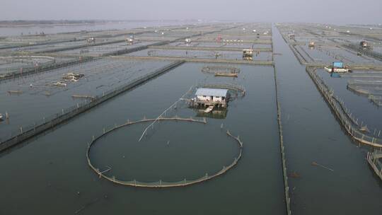 苏州阳澄湖大闸蟹基地4K航拍原素材