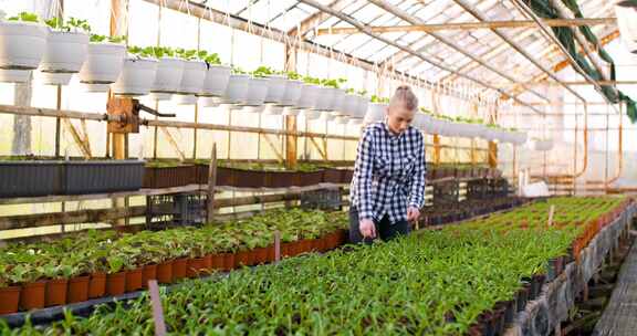 女人捡起一株植物，在温室里检查它