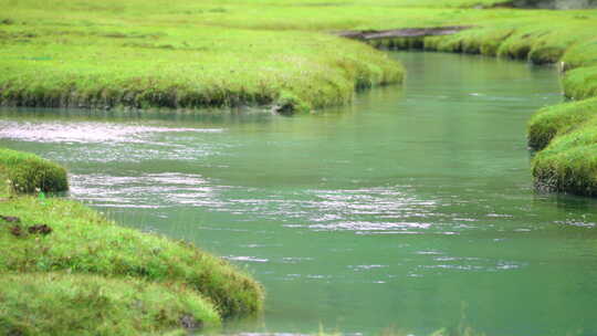 草原湖泊自然溪流