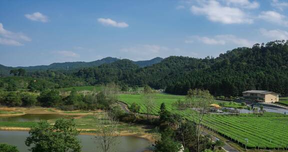 4k 户外乡村田园风光