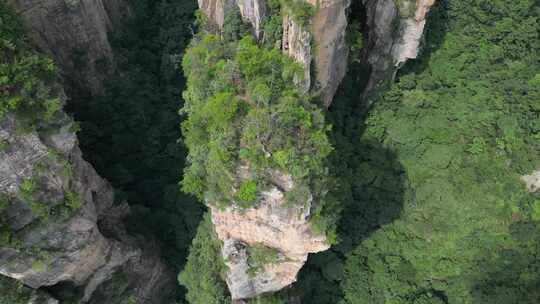 湖南省张家界景区阿凡达取景地奇峰穿云航拍