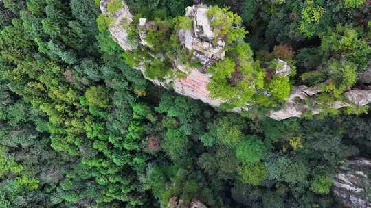 湖南张家界武陵源杨家界风景区