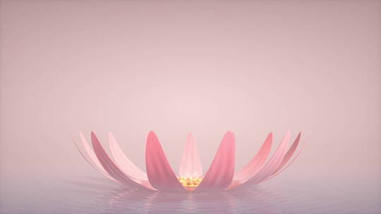 抽象粉色莲花朵绽放发光金色粒子动态素材