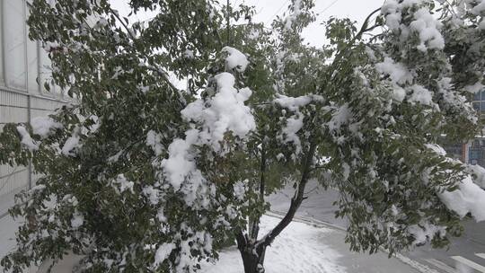 农村城镇下雪4K航拍原素材