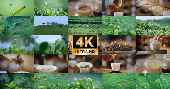 茶 茶叶泡茶茶汤茶山茶园采茶红茶广告视频