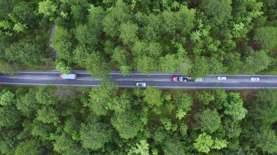 航拍汽车行驶在波密川藏公路的林荫大道上