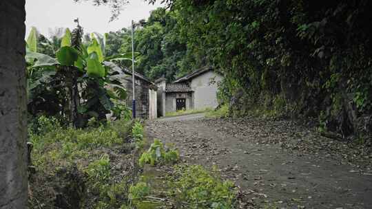 【正版素材】农村道路乡村幽静山村