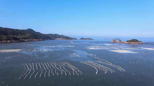 霞浦大京海面