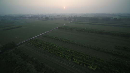 河北深州大桃航拍种植园夕阳