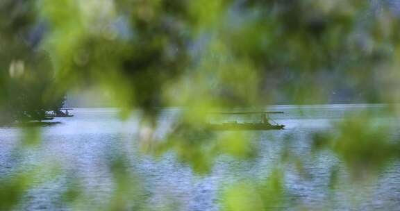 杭州西湖夏天微风手划游船风光