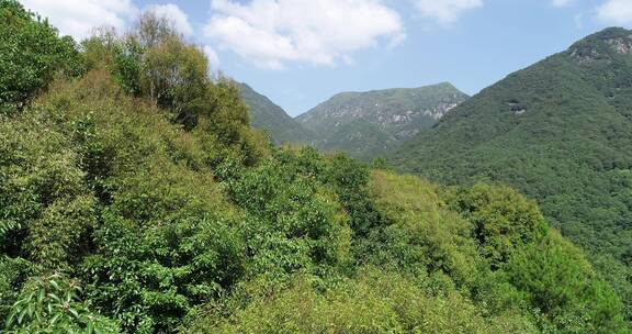 旅游景区5A福建莆田九龙谷国家森林公园