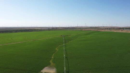 航拍喷灌圈 苜蓿农场节水灌溉  风力发电场