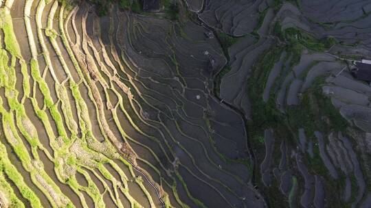 航拍山村田园湖南紫鹊界梯田