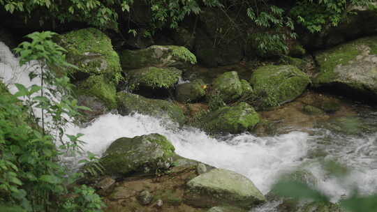 云南南滚河国家级自然保护区山涧小溪10