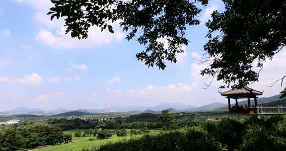 江苏省宜兴阳羡生态茶园茶田 蓝天白云背景