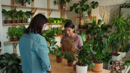 植物商店，客户，盆栽植物，商店