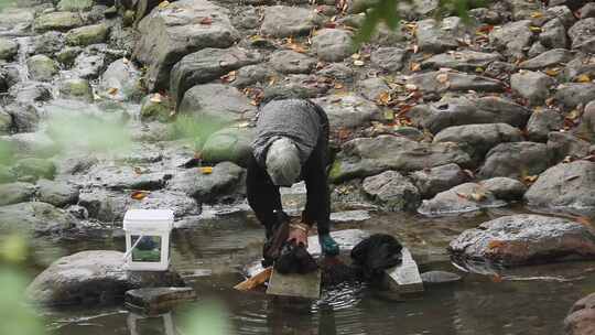 浙江杭州龙门古镇老奶奶在溪边洗衣服4K视频素材模板下载