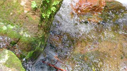 河边流水河流河水小溪山泉泉水水流升格美景