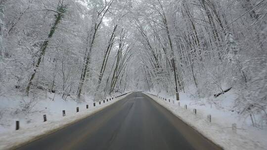 下雪后的森林道路前进