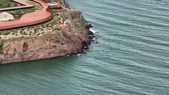 航拍青海青海湖草原高原动物视频素材模板下载