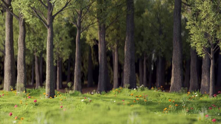 唯美森林场景 唯美森林场景