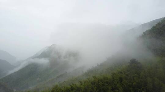 山谷 群山 迷雾 雾 航拍 山顶