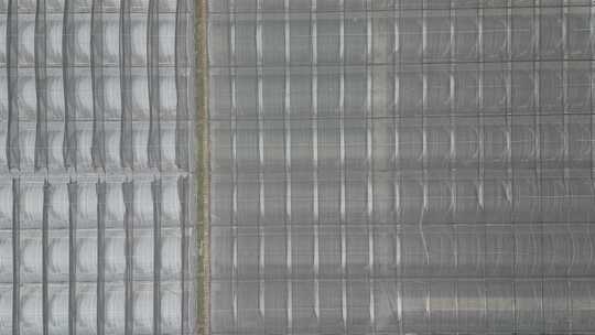 现代农业大棚种植基地航拍