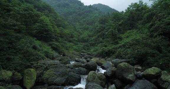 夏季峨眉山后山大沟溪水清凉