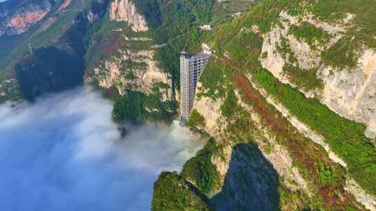 三峡红叶