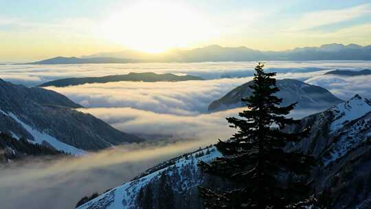 黄山迎客松日出云海雪景风景航拍