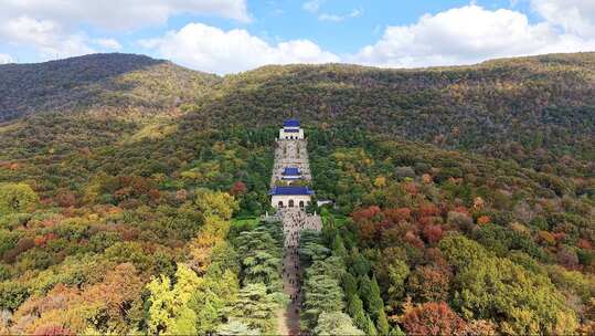 2025 秋景中山陵 音乐台 梧桐大道