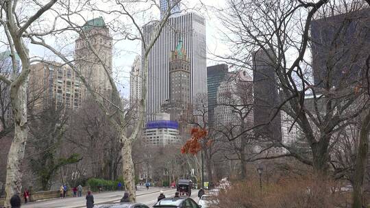 行人穿过纽约市的中央公园视频素材模板下载