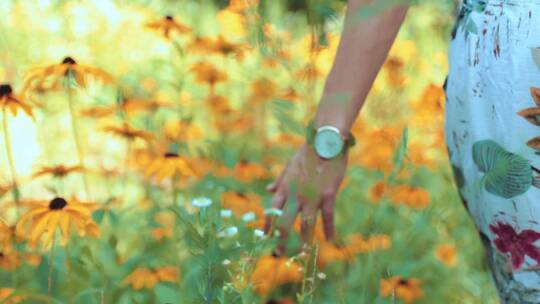 女孩用手拂过花丛的后视图