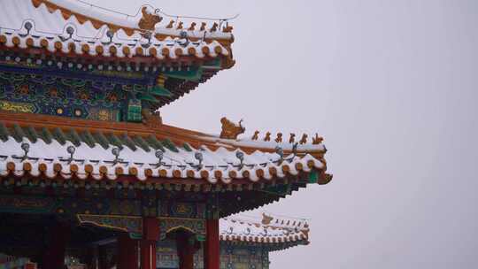 北京北海公园五龙亭的自然风光视频素材模板下载