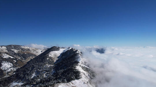 航拍湖北冬天神农架山顶雪景云海